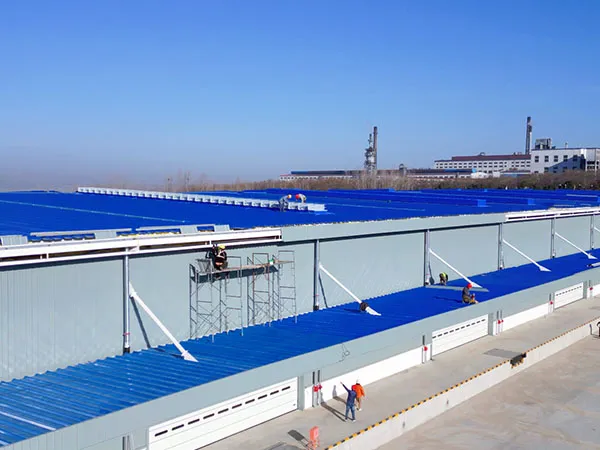 Logistics Park B03 Warehouse Steel Structure Project