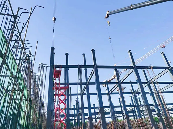 Luoyang Cold Chain Logistics Project