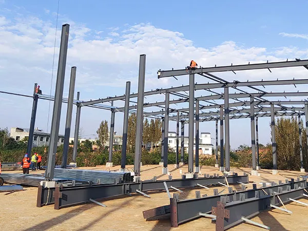 Seed Potato Storage Center Project of Lingshang Selenium Potato Science and Technology Innovation Park in Yaling Town, Yichuan County